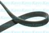 KAVO PARTS DMV-4518 V-Ribbed Belts